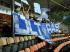 EL-01-ESKISEHIR-OM 07